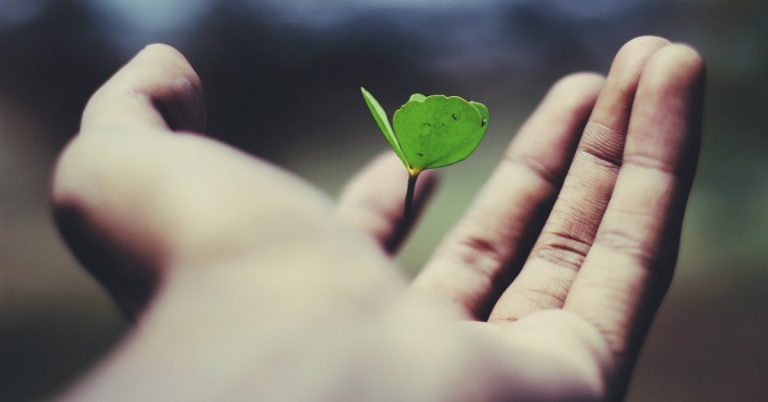 How to Scale Your Customer Experience Efforts as Your Business Grows